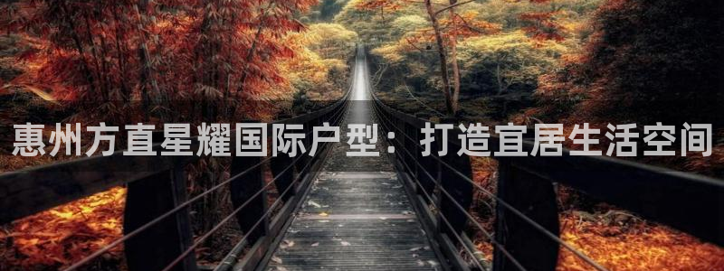 美狮贵宾会kgame：惠州方直星耀国际户型：打造宜居生活空间
