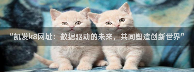 美狮贵宾会体育平台开号链接：“凯发k8网址：数据驱动的未来，共同塑造创新世界”