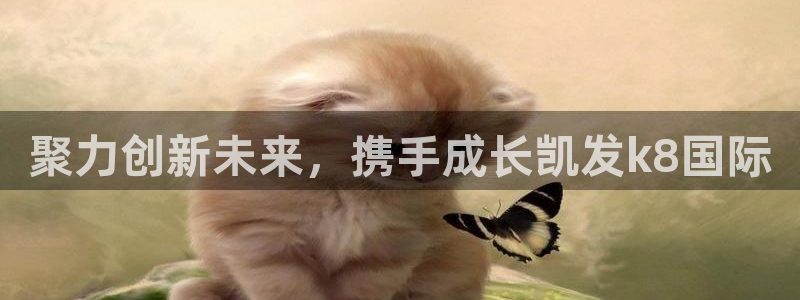 美狮贵宾会vk：聚力创新未来，携手成长凯发k8国际