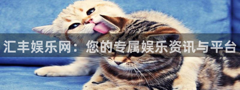 美狮贵宾会体育平台开号链接：汇丰娱乐网：您的专属娱乐资讯与平台