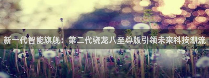 美狮贵宾会平台总代理：新一代智能旗舰：第二代骁龙八至尊版引领未来科技潮流