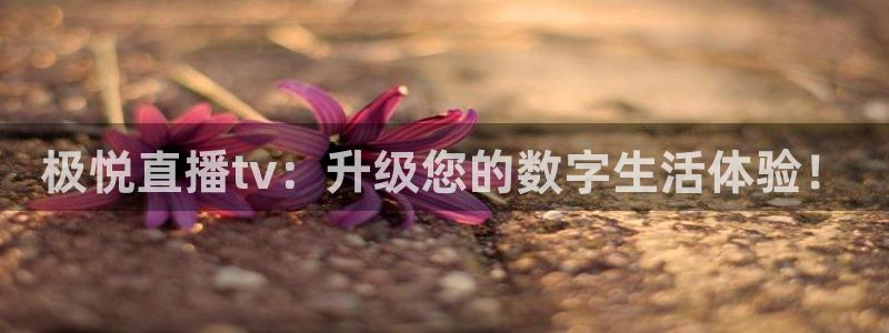 美狮贵宾会体育代理申请流程：极悦直播tv：升级您的数字生活体验！