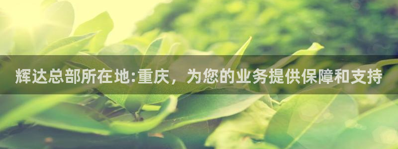 美狮贵宾会官网版下载链接：辉达总部所在地:重庆，为您的业务提供保障和支持