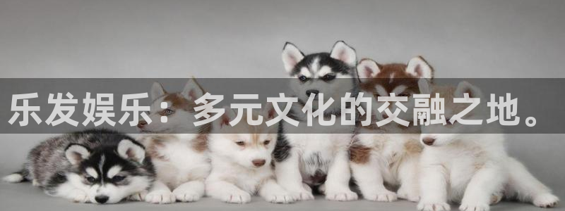 美狮贵宾会可靠吗：乐发娱乐：多元文化的交融之地。
