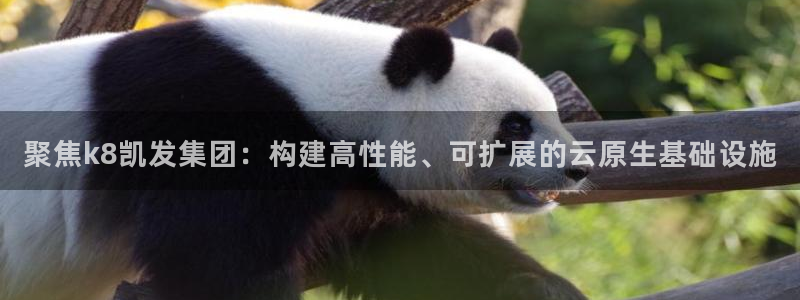 美狮贵宾会加拿大：聚焦k8凯发集团：构建高性能、可扩展的云原生基础设施