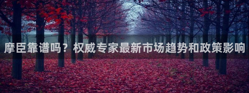 美狮贵宾会游戏官网平台：摩臣靠谱吗？权威专家最新市场趋势和政策影响