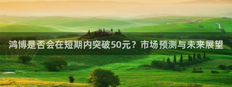 美狮贵宾会2官网：鸿博是否会在短期内突破50元？市场预测与未来展望