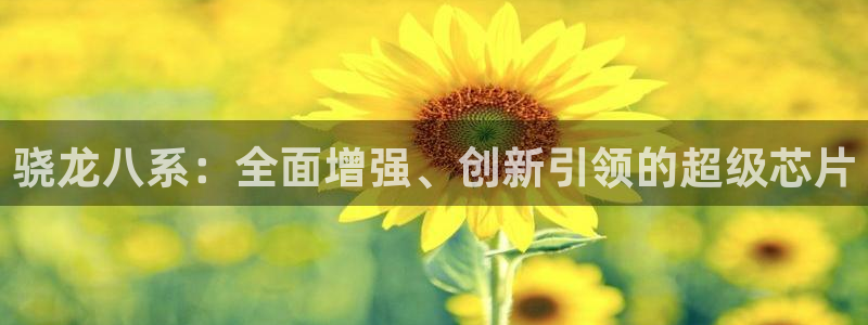 美狮贵宾会：骁龙八系：全面增强、创新引领的超级芯片