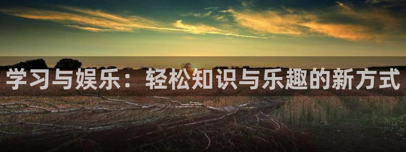 美狮贵宾会app注册地址：学习与娱乐：轻松知识与乐趣的新方式