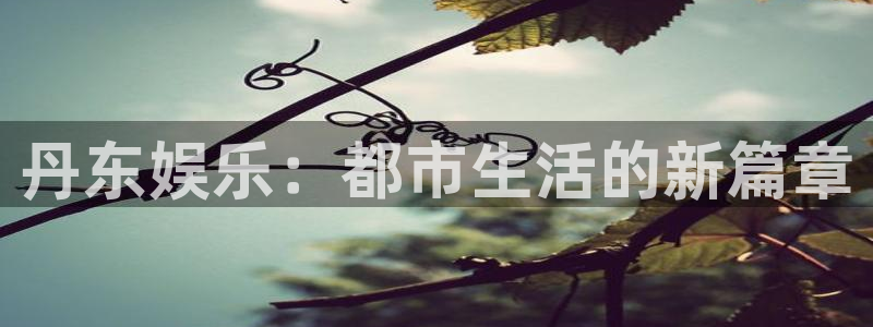 美狮贵宾会怎么下载：丹东娱乐：都市生活的新篇章