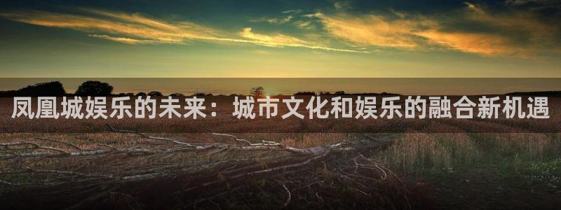 美狮贵宾会.ccm官网版：凤凰城娱乐的未来：城市文化和娱乐的融合新机遇