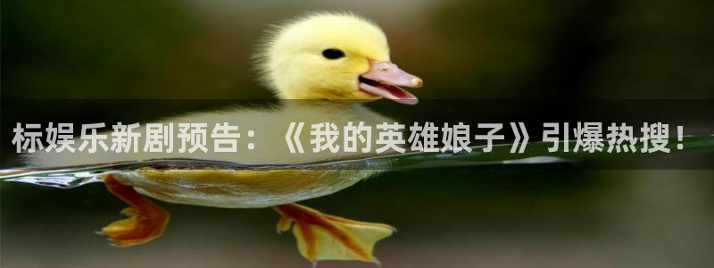 美狮贵宾会2体育：标娱乐新剧预告：《我的英雄娘子》引爆热搜！
