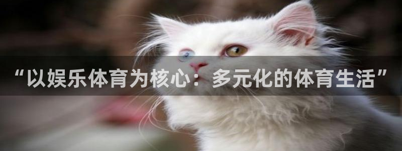 美狮贵宾会的平台：“以娱乐体育为核心：多元化的体育生活”