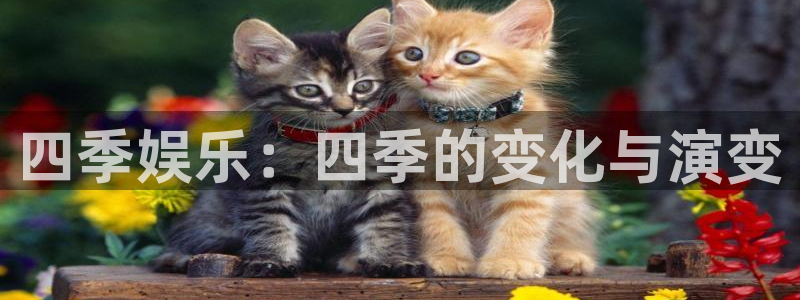 美狮贵宾会体育4：四季娱乐：四季的变化与演变