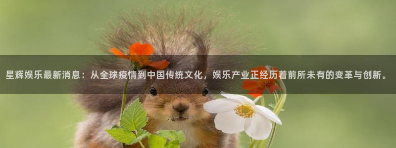 美狮贵宾会.ccm苹果版：星辉娱乐最新消息：从全球疫情到中国传统文化，娱乐产业正