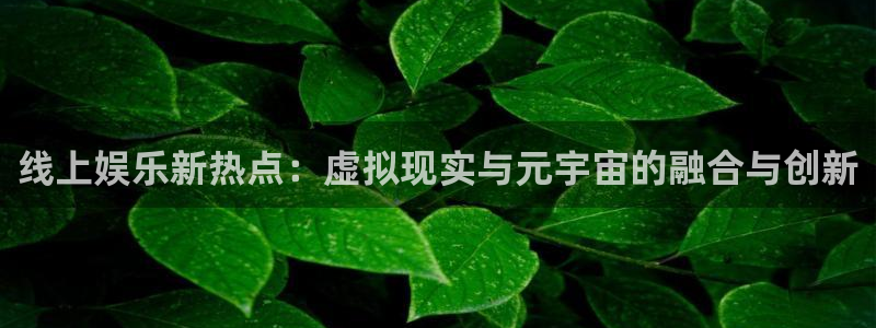美狮贵宾会电玩网官网入口：线上娱乐新热点：虚拟现实与元宇宙的融合与创新