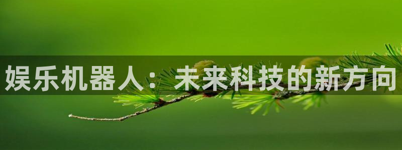 南宫美狮贵宾会官网下载链接：娱乐机器人：未来科技的新方向