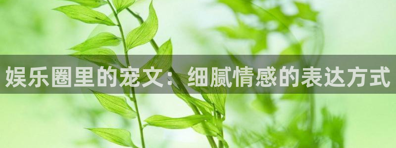 美狮贵宾会下载入口：娱乐圈里的宠文：细腻情感的表达方式