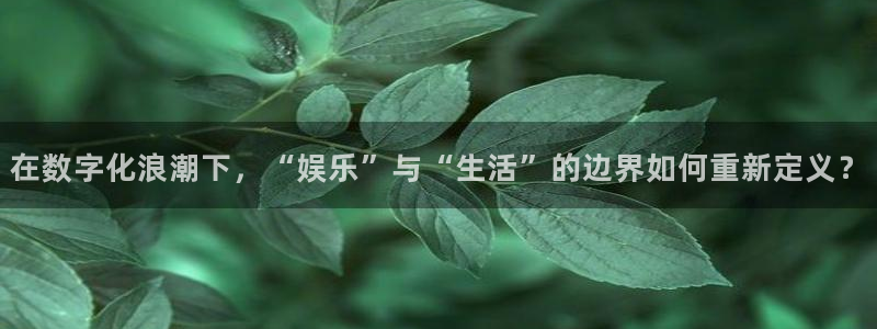 美狮贵宾会电子游戏网页版：在数字化浪潮下，“娱乐”与“生活”的边界如何重新定义？