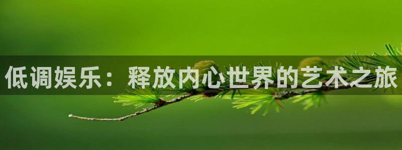 美狮贵宾会注册网页版：低调娱乐：释放内心世界的艺术之旅