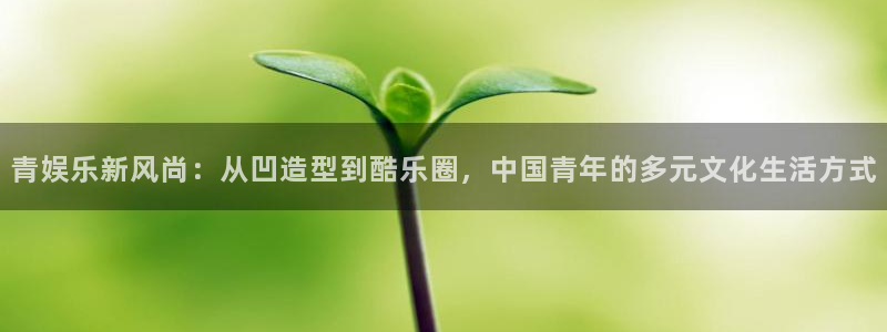 东莞市美狮贵宾会电子科技有限公司