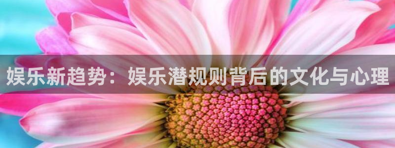 美狮贵宾会：娱乐新趋势：娱乐潜规则背后的文化与心理