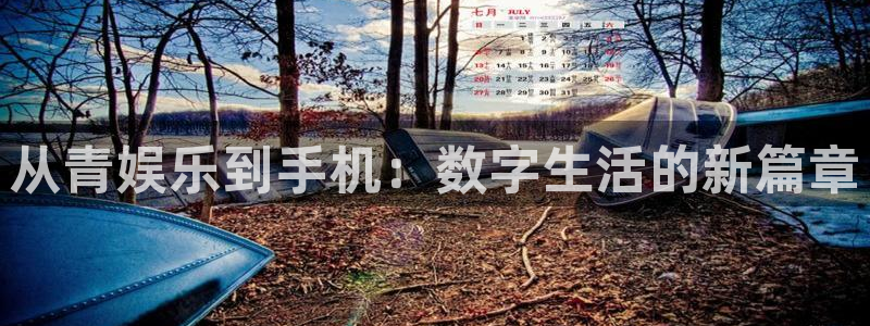 美狮贵宾会官方网站：从青娱乐到手机：数字生活的新篇章